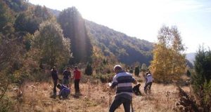 Млади фиданки от тис бяха засадени в Природен парк Странджа