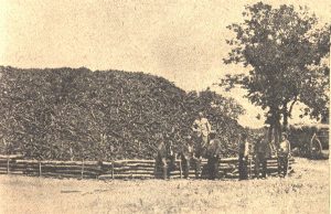 Историята на теснолинейката Ахтопол-Бродилово-Кости