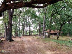 Параклис Света Богородица, село Българи