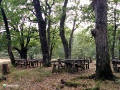 Параклис Света Богородица, село Българи