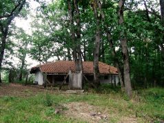 Параклис Света Богородица, село Българи