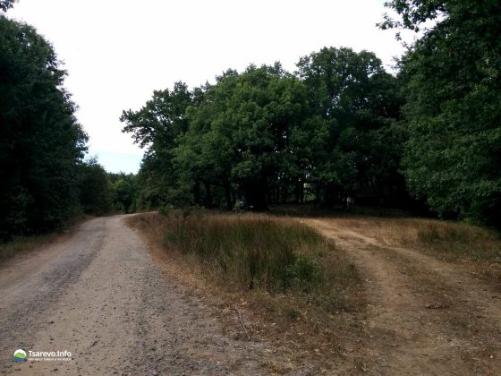 Туристически маршрут от село Българи до село Велика