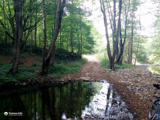 Туристически маршрут от село Българи до село Велика