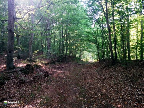 Туристически маршрут от село Българи до село Велика