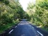 Откриха рехабилитирания път от село Кости до село Българи