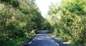 Откриха рехабилитирания път от село Кости до село Българи