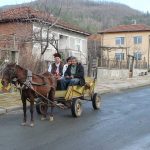 По стар български обичай в село Бродилово зарязаха лозята на Трифон Зарезан