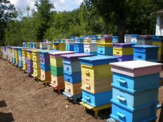 Пчеларска ферма 