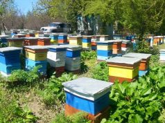 Пчеларска ферма 