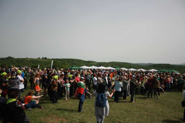 Фестивалът на зелениката 2017 премина при голям интерес