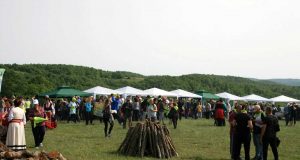 Фестивалът на зелениката 2017 премина при голям интерес