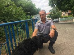 Пожарникарите от Царево спасиха бедстващо куче в Ахтопол