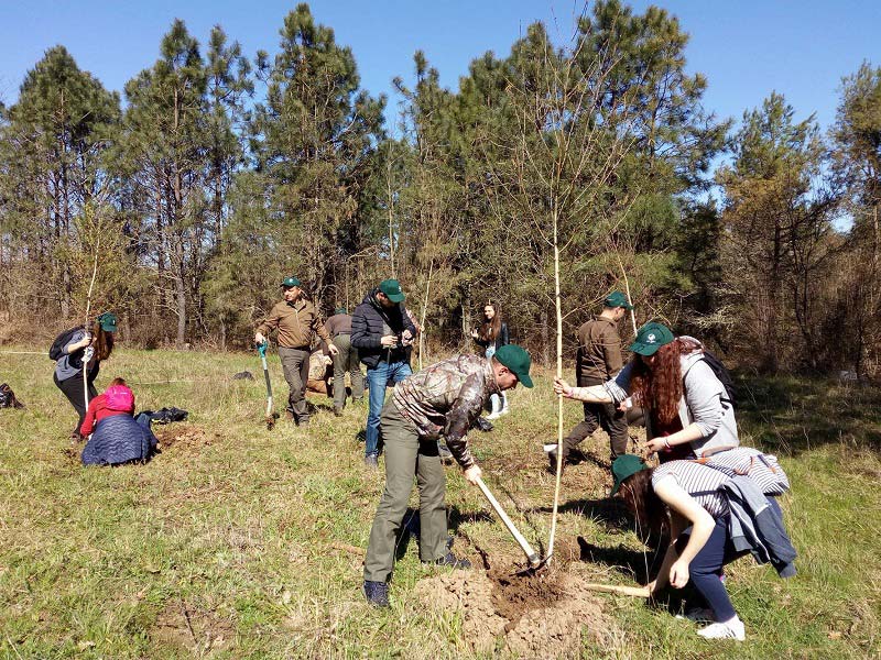 Ученици от Царево засадиха дръвчета в Приморско