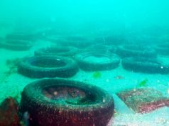Водолази извадиха над 80 автомобилни гуми от залива в Ахтопол по време на Diving Fest 2018