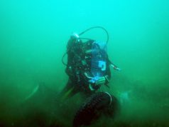 Водолази извадиха над 80 автомобилни гуми от залива в Ахтопол по време на Diving Fest 2018