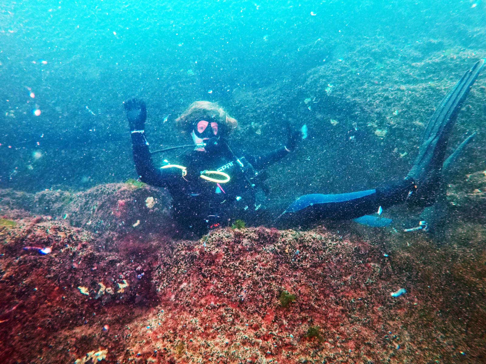 Подводна фотография от Ахтопол